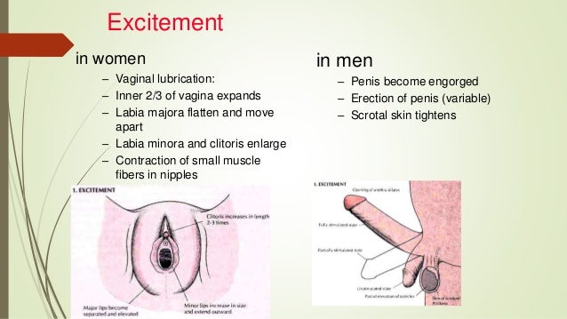 Teen question and answers Engorgment of clitoris
